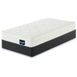 Ambler Plush Euro Top Mattress