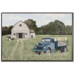 Rural Life