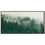 Emerald Forest