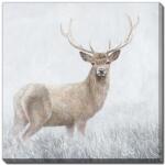 Young Deer