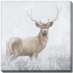 Young Deer