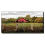 Down On The Farm