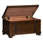 Aspen Skies Storage Trunk - Image 6
