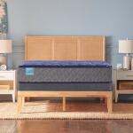 Sealy - Prestige - Medium