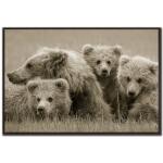 Bear Huddle