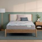Daydream Plush