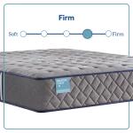 Sealy - Regal Rest - Firm - Image 2