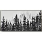 Misty Pines