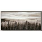 Foggy Mountain Pines