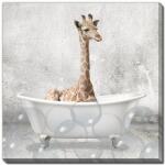 Baby Giraffe Bath