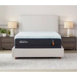 Tempur-Pedic - TEMPUR-ProAdapt 2.0 Firm